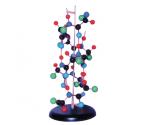 Structura proteinei