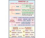 Set planșe la limba română pentru clasele gimnaziale (21 planșe)