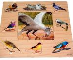 Tabla matrice cu puzzle ”Lumea păsărilor”