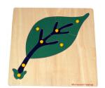 Tabla matrice Montessori "Frunza".